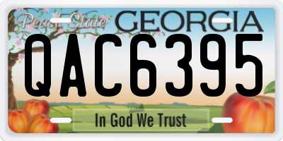 GA license plate QAC6395