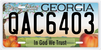 GA license plate QAC6403