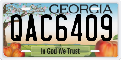 GA license plate QAC6409