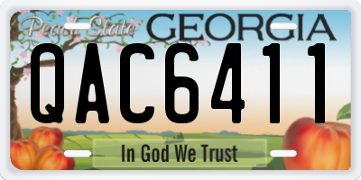 GA license plate QAC6411