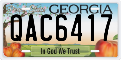GA license plate QAC6417