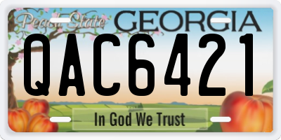 GA license plate QAC6421