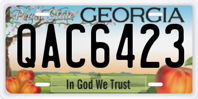 GA license plate QAC6423