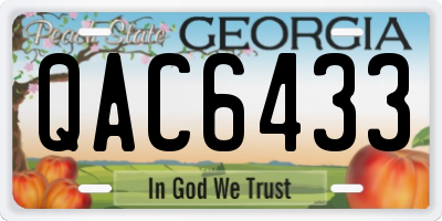 GA license plate QAC6433