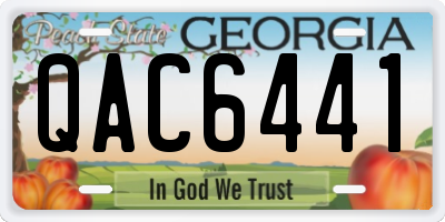 GA license plate QAC6441
