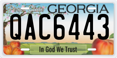 GA license plate QAC6443