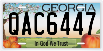 GA license plate QAC6447
