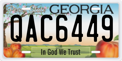 GA license plate QAC6449