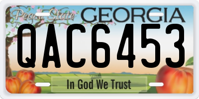 GA license plate QAC6453