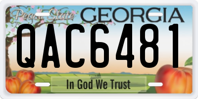 GA license plate QAC6481