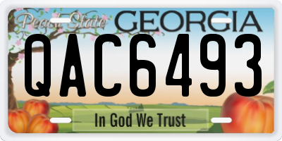 GA license plate QAC6493