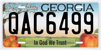 GA license plate QAC6499