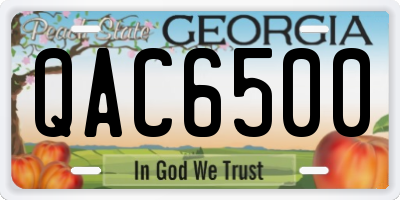 GA license plate QAC6500