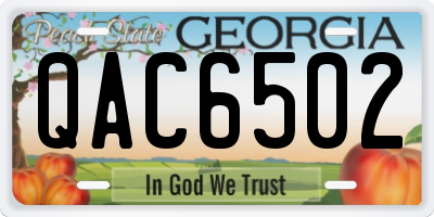 GA license plate QAC6502