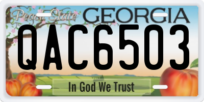 GA license plate QAC6503