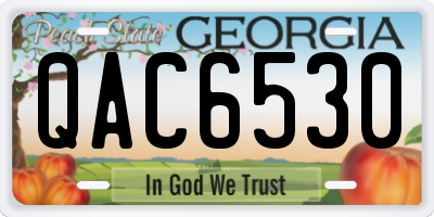 GA license plate QAC6530
