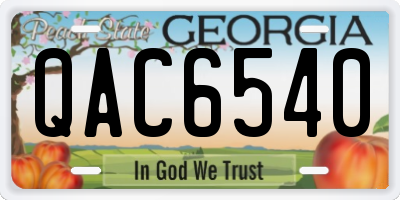 GA license plate QAC6540