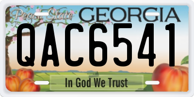 GA license plate QAC6541