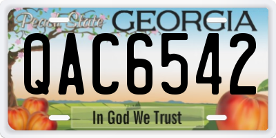 GA license plate QAC6542