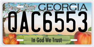 GA license plate QAC6553