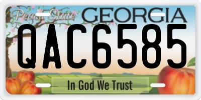 GA license plate QAC6585