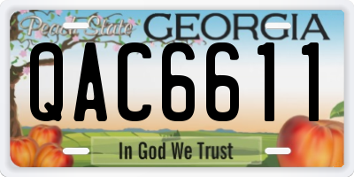GA license plate QAC6611