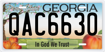 GA license plate QAC6630