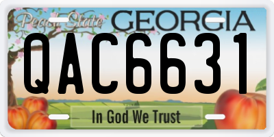 GA license plate QAC6631