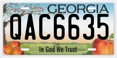 GA license plate QAC6635