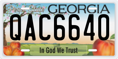 GA license plate QAC6640