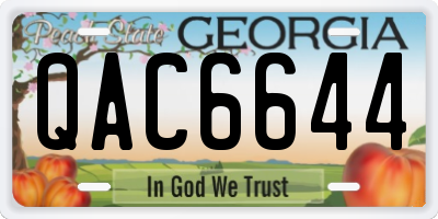 GA license plate QAC6644