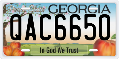 GA license plate QAC6650