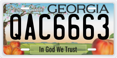 GA license plate QAC6663