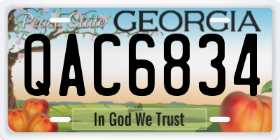 GA license plate QAC6834