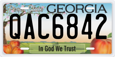 GA license plate QAC6842