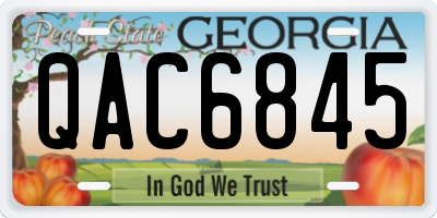 GA license plate QAC6845