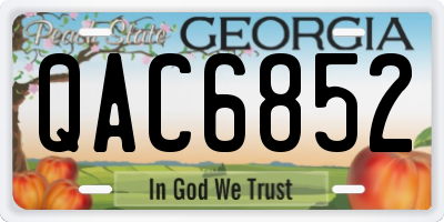 GA license plate QAC6852