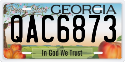 GA license plate QAC6873