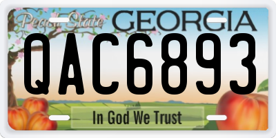 GA license plate QAC6893