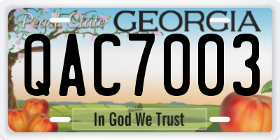 GA license plate QAC7003