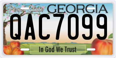 GA license plate QAC7099