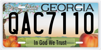 GA license plate QAC7110