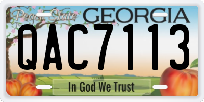 GA license plate QAC7113