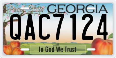 GA license plate QAC7124
