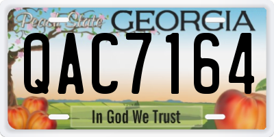 GA license plate QAC7164