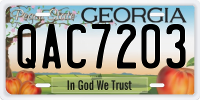 GA license plate QAC7203