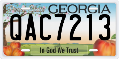 GA license plate QAC7213