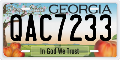 GA license plate QAC7233