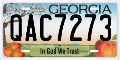 GA license plate QAC7273