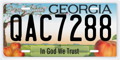GA license plate QAC7288